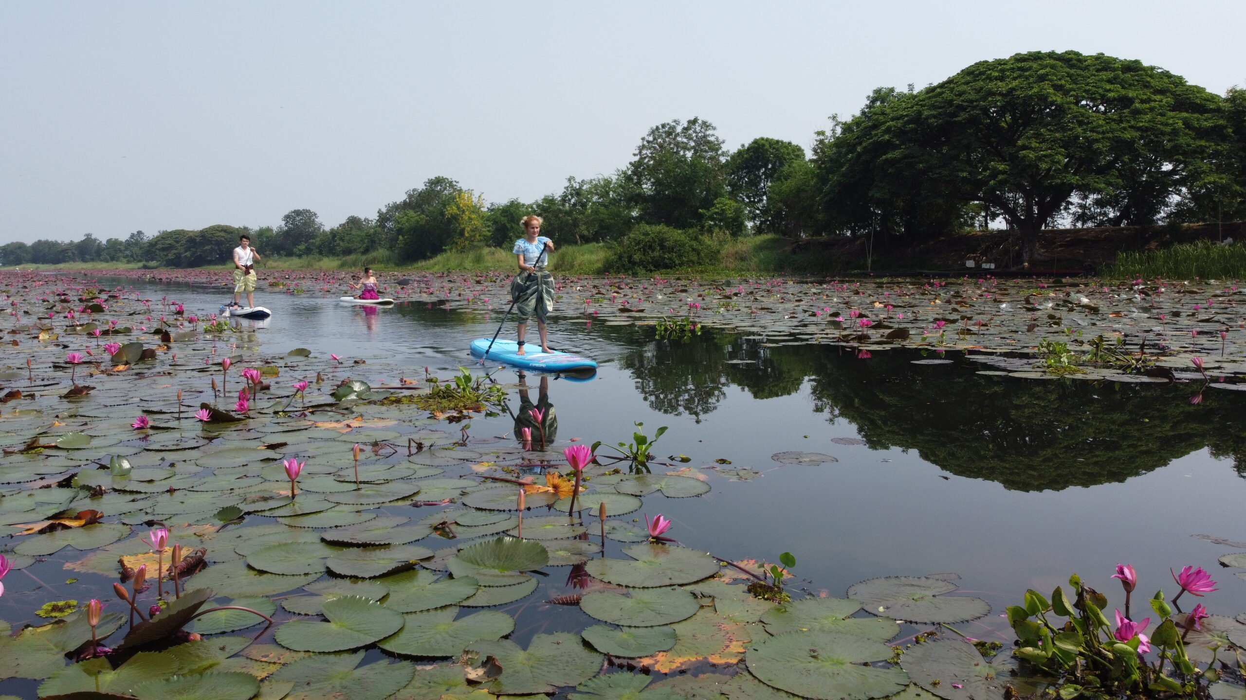Just 10 minutes from the Lahan Red Lotus Sea!